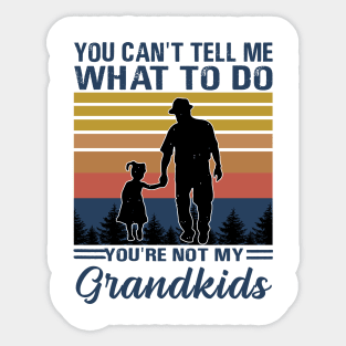 you can't tell me what to do you're not my grandkids Sticker